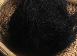 高台发菜900平米保鲜万博娱乐平台电脑版
工程方案