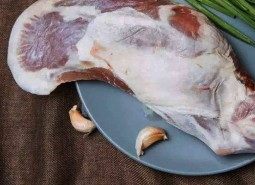兰州大尾羊肉560平米冷冻库设计工程方案