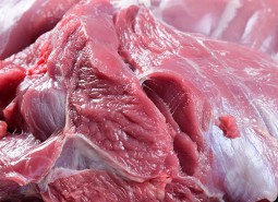 宁夏涝河桥羊肉100平米万博娱乐平台电脑版
工程方案