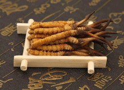 青海冬虫夏草100平米万博娱乐平台电脑版
工程方案