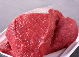民和肉牛肉900平米冷冻库设工程方案