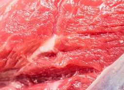 果洛玛多藏羊肉530平米冷冻库设计工程方案