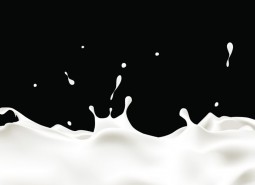 兰州城关区35㎡乳品冷库安装工程