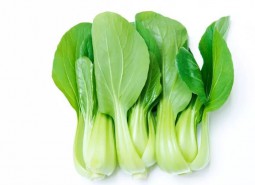 油菜（青菜）冷库怎么保存？保鲜1个月方法免费分享！