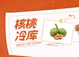 鲜核桃冷库储藏方法说明