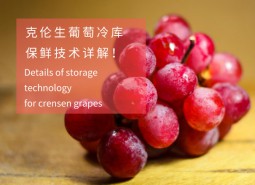 克伦生葡萄冷库保鲜存储方法,这样做保鲜两个月-万能制冷
