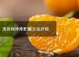 茂谷柑冷库贮藏方法是什么？