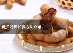 酸角冷库贮藏适宜的温度是多少？能贮藏多长时间？-万能制冷