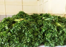 甘肃60平米蔬菜保鲜万博娱乐平台电脑版
工程-万能制冷
