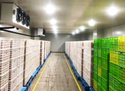 金昌市金川区果蔬保鲜冷库安装工程-万能制冷