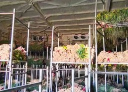 武威市凉州区蔬菜保鲜库安装工程-万能制冷